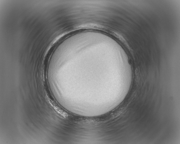 X0000077980931200611251342