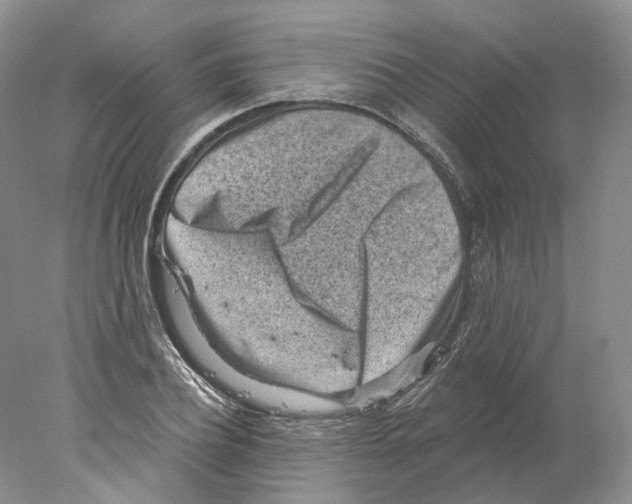 X0000077980932200611251342