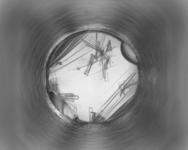X0000077980939200611251342