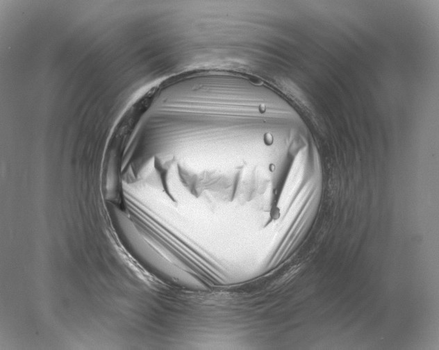 X0000077980940200611251342