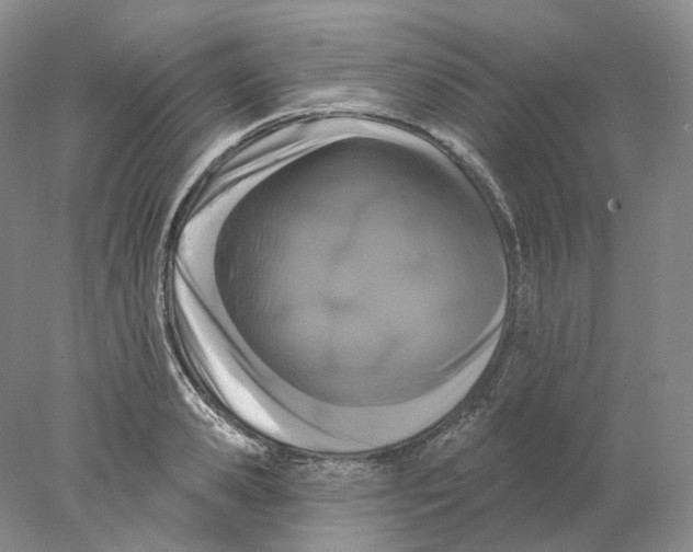 X0000077980941200611251342