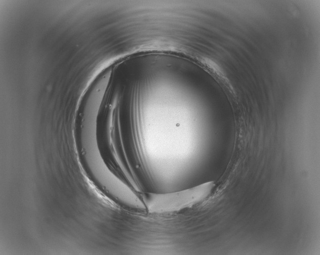 X0000077980942200611251342