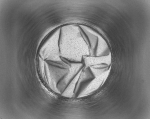X0000077980951200611251342