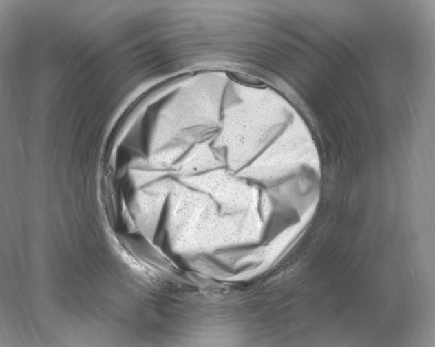 X0000077980955200611251342