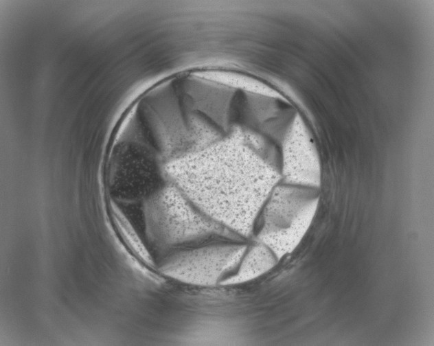 X0000077980959200611251342