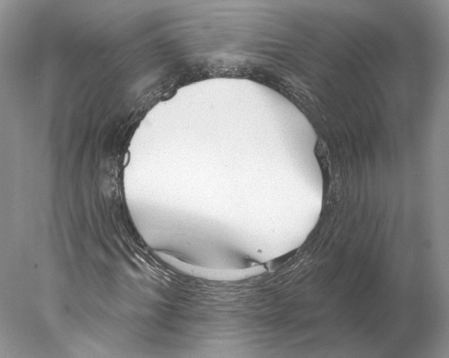 X0000077980964200611251341
