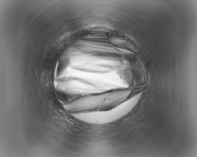 X0000077980965200611251341
