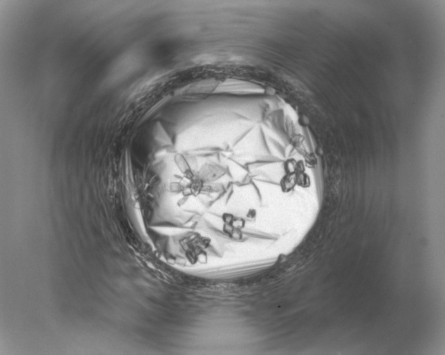 X0000077980966200611251341