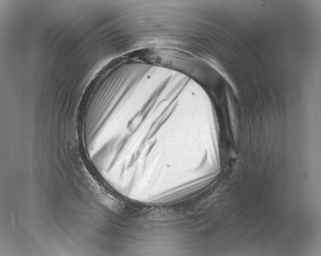 X0000077980972200611251341