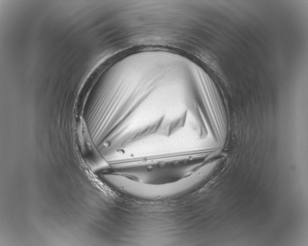 X0000077980976200611251341