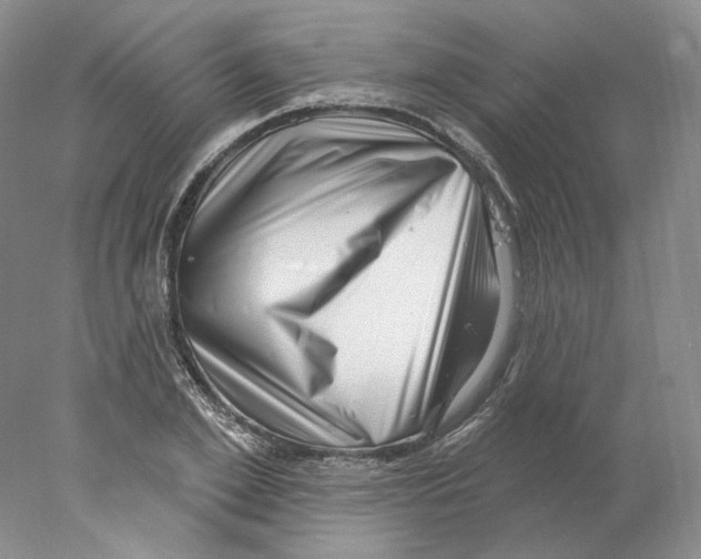 X0000077980981200611251341
