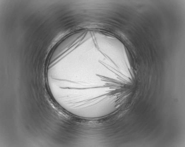 X0000077980986200611251341