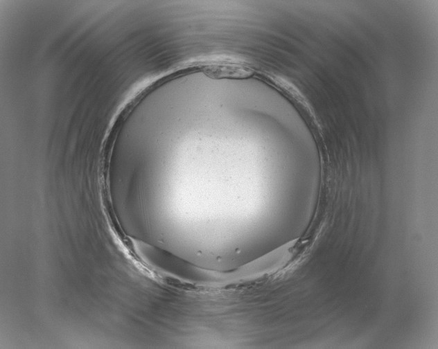 X0000077980989200611251341