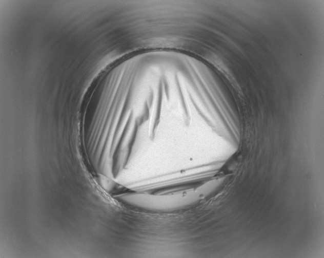 X0000077980992200611251341