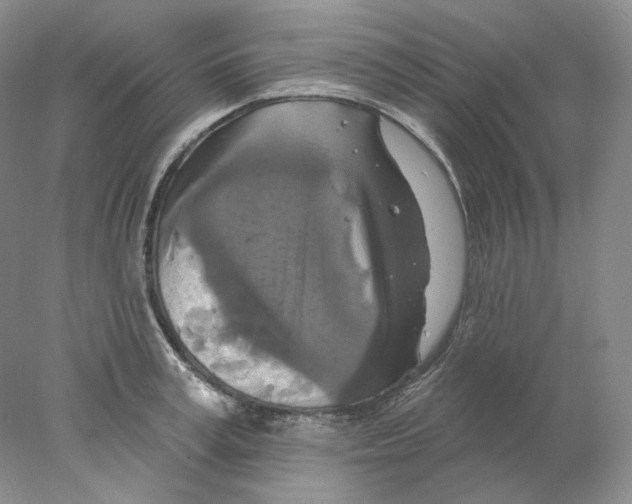 X0000077980995200611251341