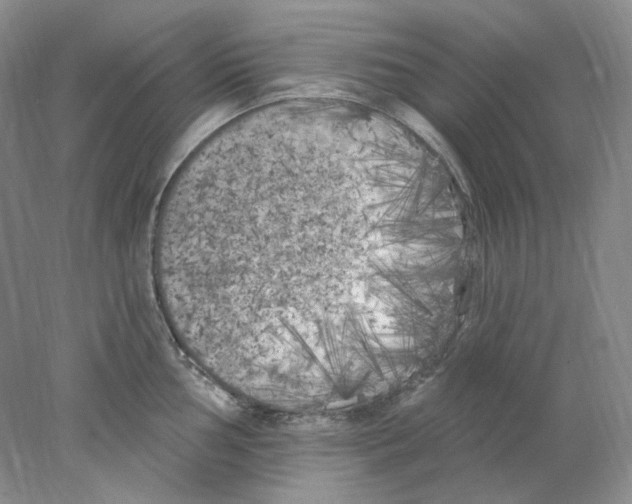 X0000077981002200611251341