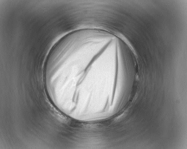 X0000077981004200611251340