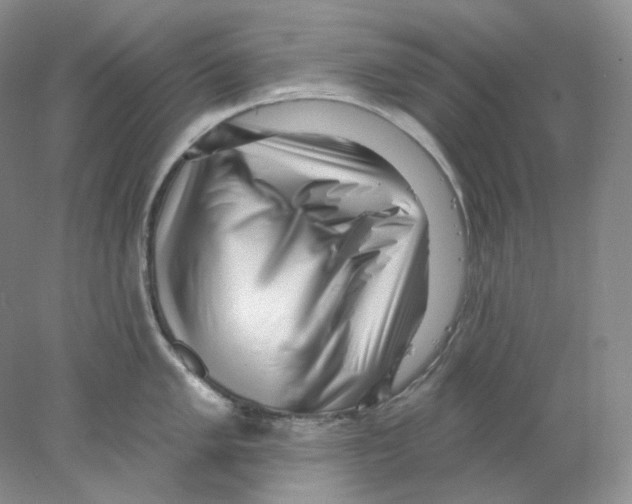 X0000077981005200611251340