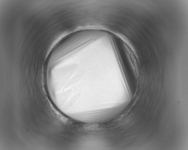 X0000077981006200611251340