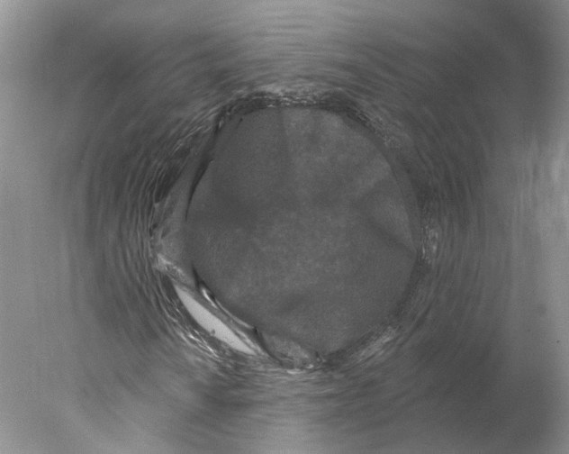 X0000077981010200611251340