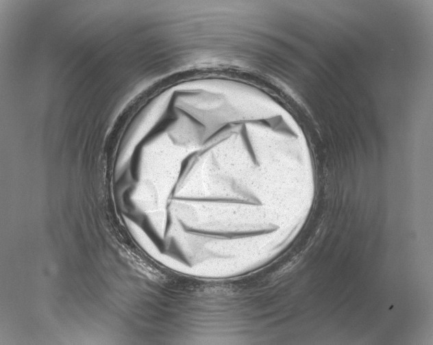 X0000077981021200611251340
