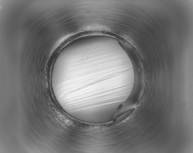 X0000077981022200611251340