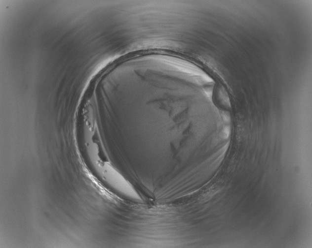 X0000077981024200611251340