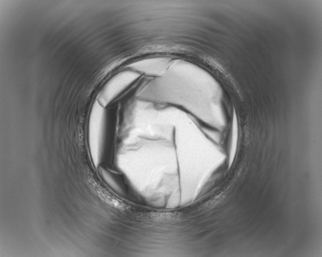 X0000077981025200611251340