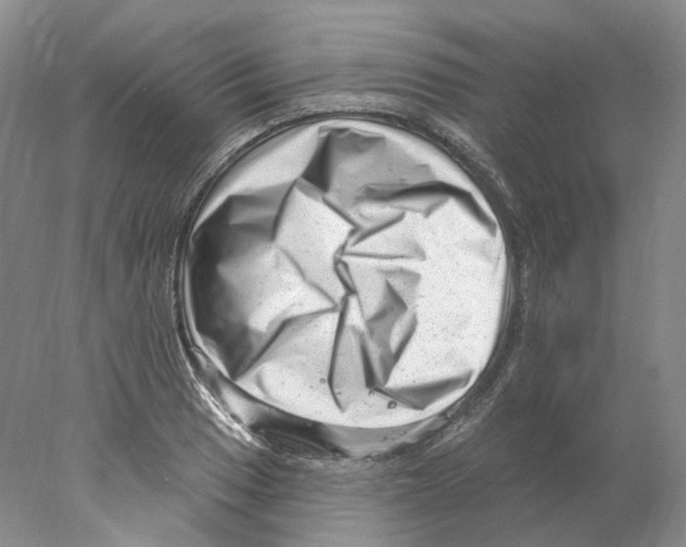 X0000077981033200611251340