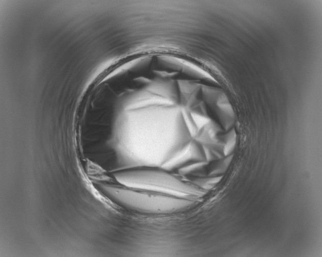X0000077981038200611251340