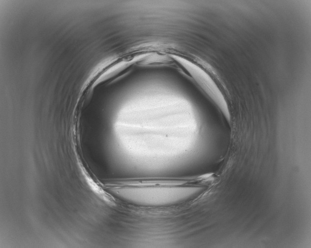 X0000077981042200611251340