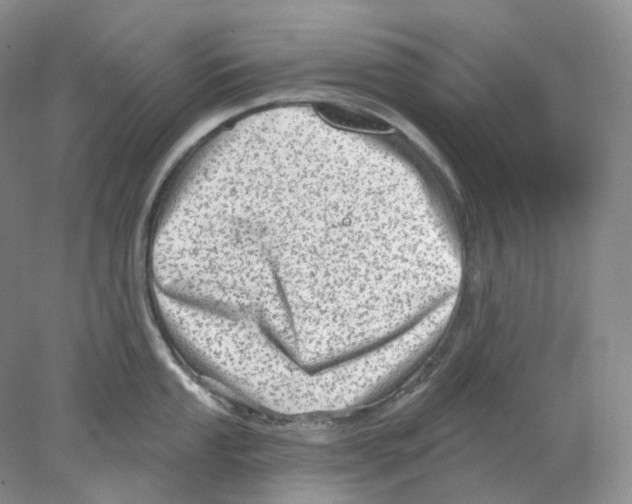 X0000077981053200611251340