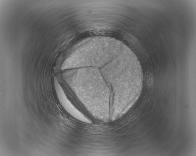 X0000077981060200611251340