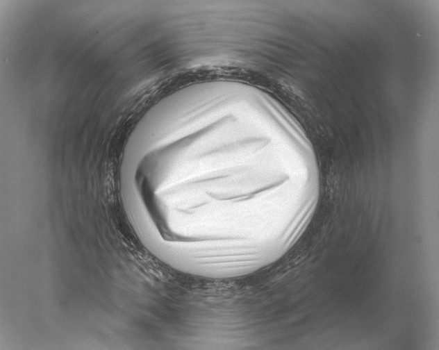 X0000077981062200611251340