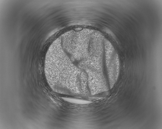 X0000077981064200611251339