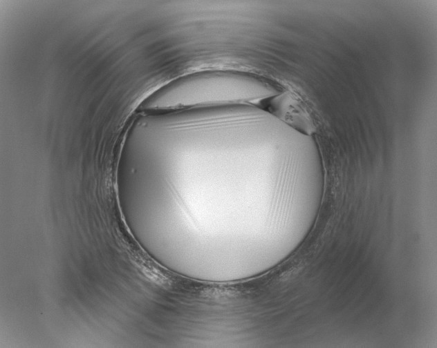 X0000077981073200611251339