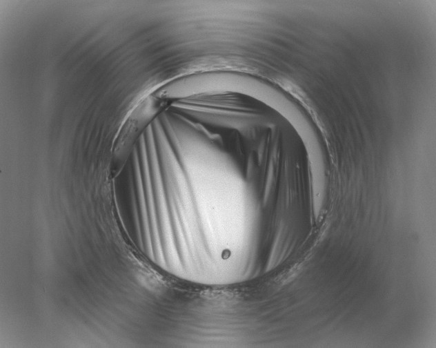 X0000077981089200611251339