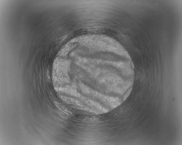 X0000077981106200611251338