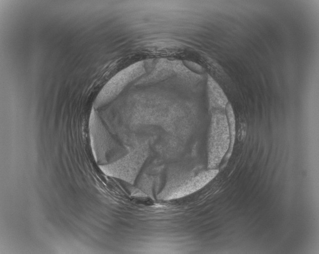 X0000077981108200611251338