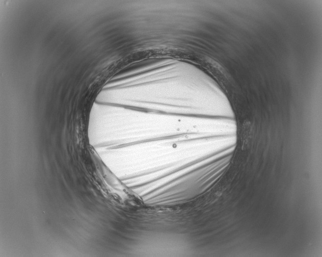 X0000077981111200611251338