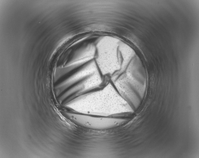 X0000077981115200611251338