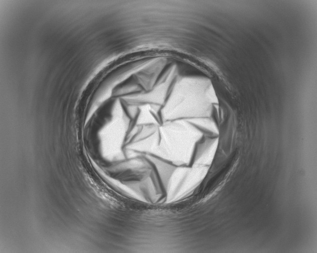 X0000077981118200611251338