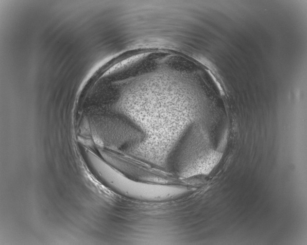 X0000077981120200611251338