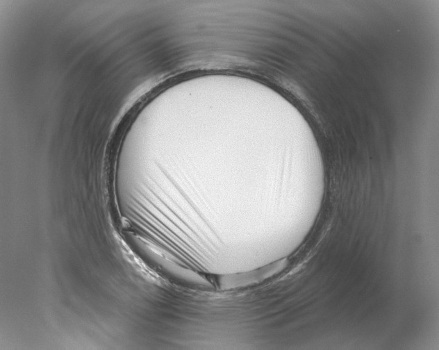 X0000077981122200611251338