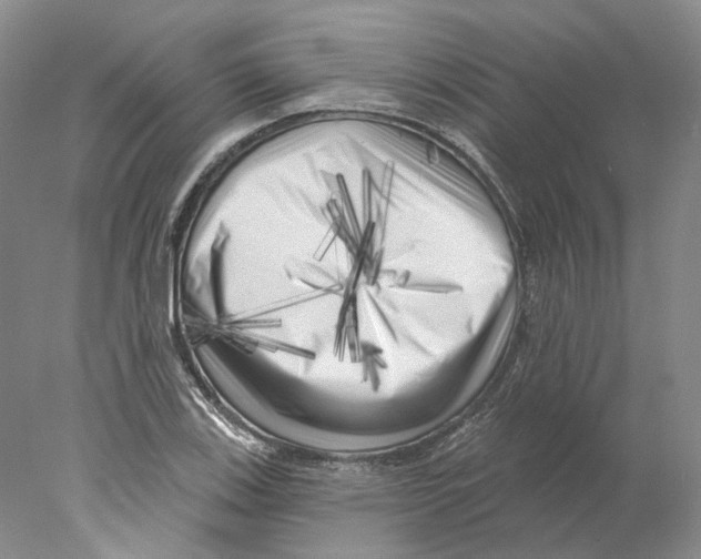 X0000077981123200611251338