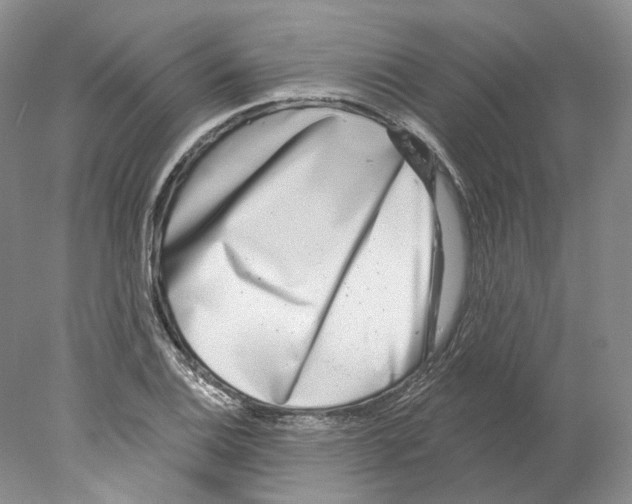 X0000077981124200611251338