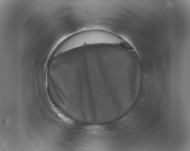 X0000077981127200611251338