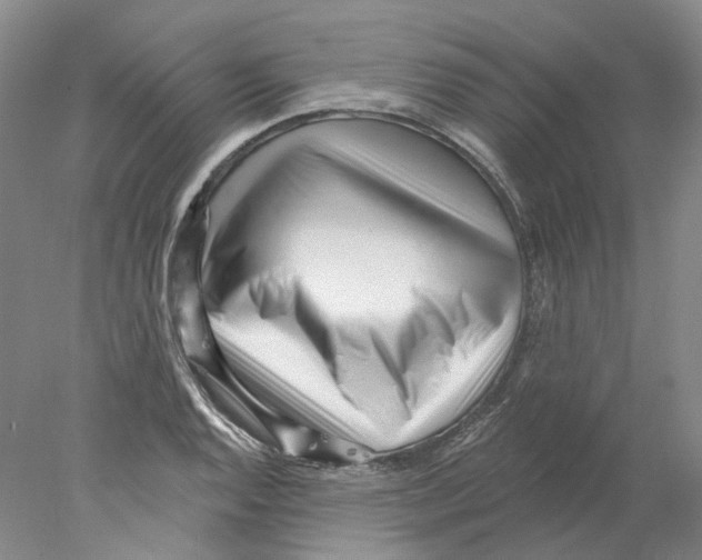 X0000077981128200611251338