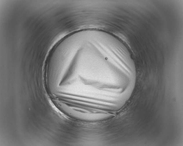 X0000077981135200611251338