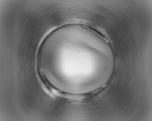 X0000077981136200611251339